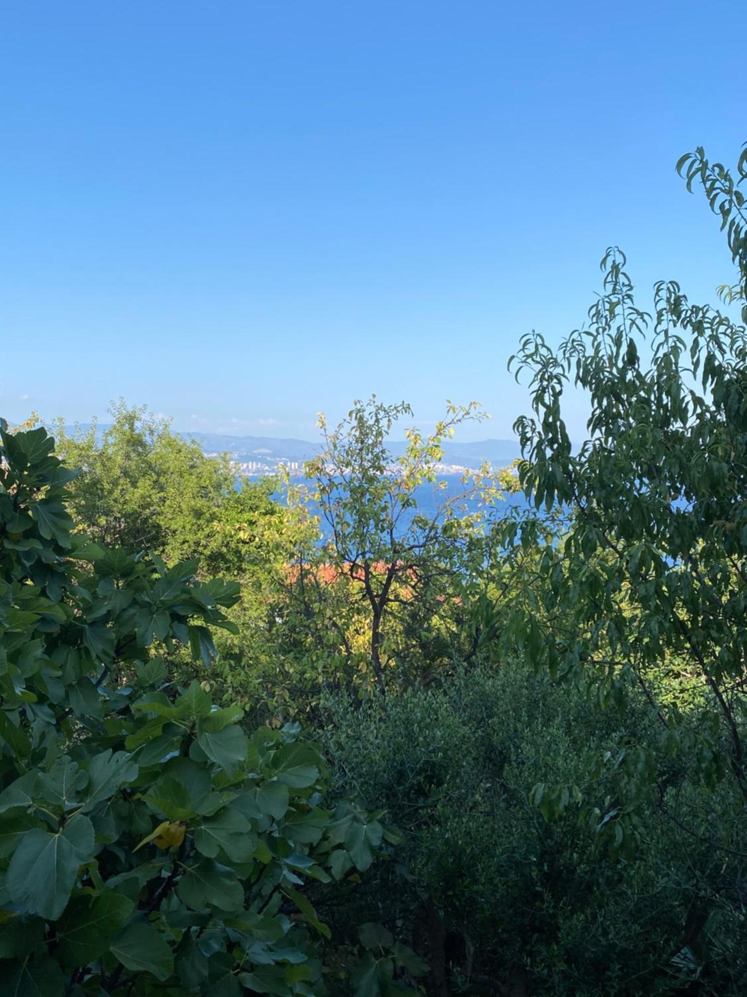 Villa Salyna Ičići Exteriör bild